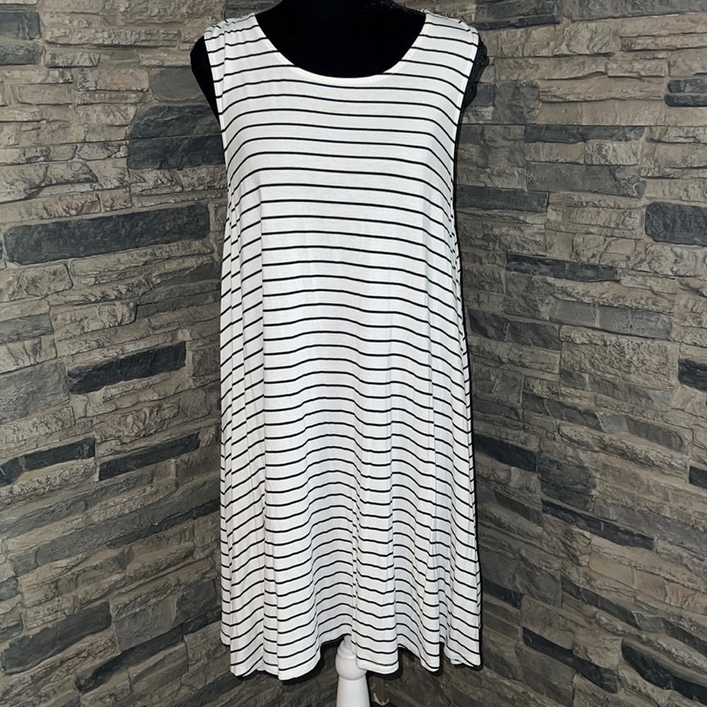 AEO Striped Swing Dress